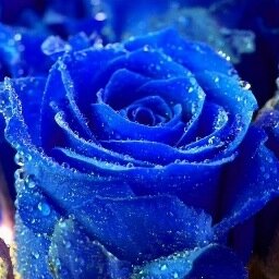 Agradecida con Dios por todo lo que me ha dado . CREO EN UN MUNDO MEJOR..Aprende del Pasado, vive el presente y cree en el futuro.