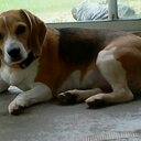 Arthur Huckaby - @huckaby6998 - Twitter