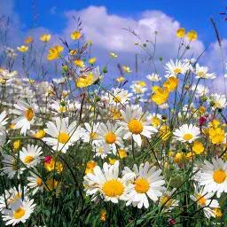 #Followback, #ВзаимныйФолловинг, #Following