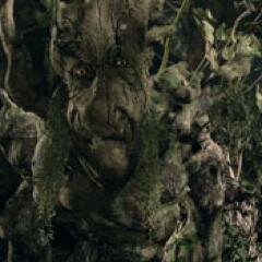 We live and we protected the great forests of Middle Earth in the past, and showed up briefly near the end of the First Age, attacking a group of dwarves