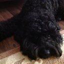 kathy irvine - @kathy1063 - Twitter