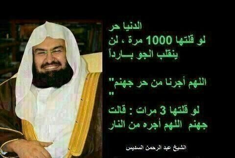 meshaal_227 Profile Picture