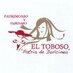 Turismo El Toboso (@aytoeltoboso) Twitter profile photo