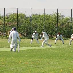 Cricket tragic and technologist by profession.