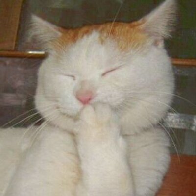 ねこまる 今月の 渋谷すばるの脳 最終回すごいね W 写真びっくりしたよ 笑