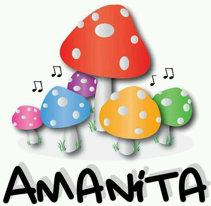 Amanita Cumbia!!     Segui a : @matibergliaffa @kevinstutz @aguscasadio @lucaciaurro @frann_gon - Contacto: amanitaok@gmail.com - 272B67EA - 351-5937224