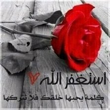 ‏‏‏صدقة جارية للمسلمين و المسلمات الأحياء منهم و الأموات 
                   اللهم تقبلها قبول حسنا ;الخااص مهمل...