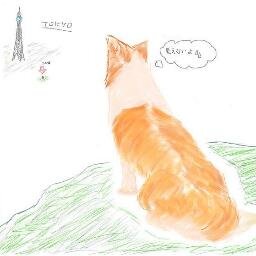 大きな波にはまだ乗れず、波打ちぎわでうきしずみする流木に思いをはせる。むじゃきにぶどう畑を走り回っていたあの頃に... U･ｪ･)ﾜﾝ