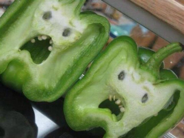 Passionate waster ♻️ and gardener 🐝 🌺 🦋 - beware the Zombie Peppers!. Views: my own