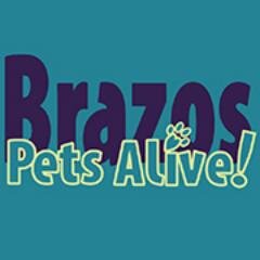 We are an all volunteer organization dedicated to making BCS a no-kill community by saving at-risk shelter animals through a foster network. Fosters needed.