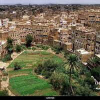 م (@777mohamed777) 's Twitter Profile
