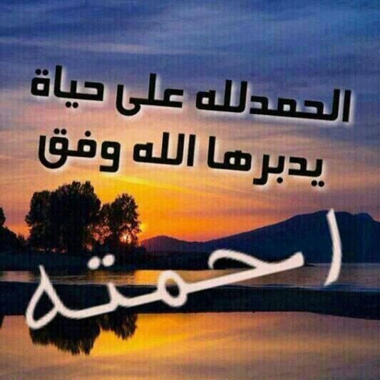 mmoohh497's profile picture. ..