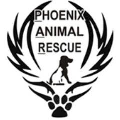 Renewing hope for homeless animals, one day at a time.