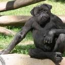 Ronda Scott - @RondaScott17 - Twitter