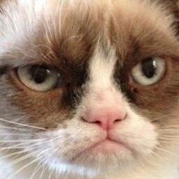 I'm so grumpy