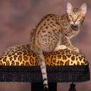 Elsa Anderson - @ElsaAnderson18 - Twitter