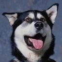 BertaKnack's profile picture. 