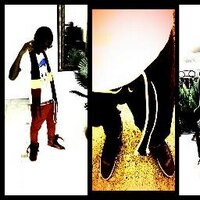 Phoolish Wayz (@phoolishwayz) 's Twitter Profile