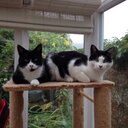 Tracey Peters - @TraceyPeters2 - Twitter