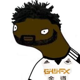 *not affiliated with wilfried bony* secund eccount tu @mussudumbulu and @PirluPls maed 25/9/13, original toon as others are inactive