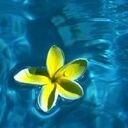 Julia Head - @JuliaHead10 - Twitter