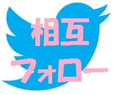 このアカウントをフォローしているのは、相互フォロー希望の方です。上手く利用して相互フォローの輪を広げましょう。　このアカウントは24時間に一度自動でリフォローしますので、100％フォロー返します。