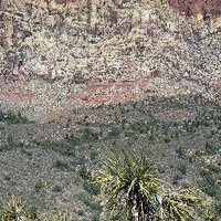 Jake Vollbeer (@jvollbeer) 's Twitter Profile