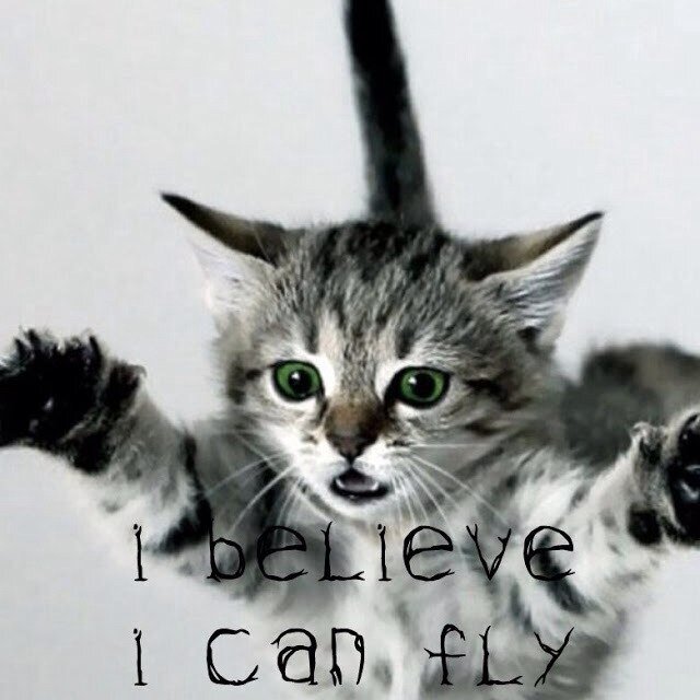 lkjfdsa13's profile picture. 