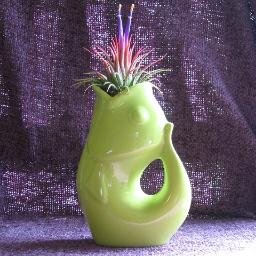 JMillerPi's profile picture. Musician, martial artist, reader.