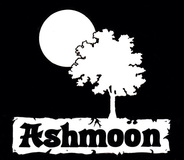 Ashmoon was planned to be the next step forward for 2 brothers, Andy and Mark, who had been writing and performing live music since the 80's.