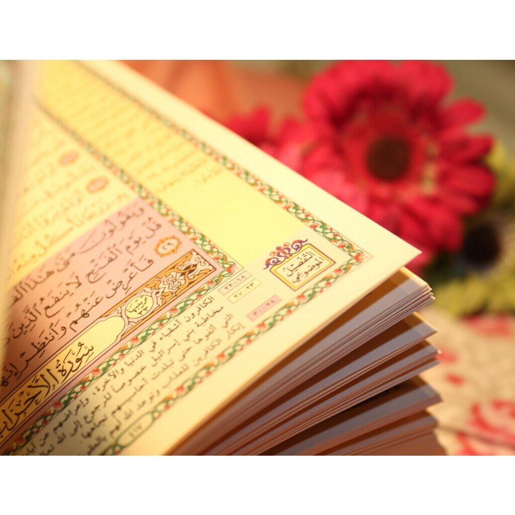 رَبِّ أَوْزِعْنِي أَنْ أَشْكُرَ نِعْمَتَكَ الَّتِي أَنْعَمْتَ عَلَيَّ وَعَلَى وَالِدَيَّ وَأَنْ أَعْمَلَ صَالِحًا تَرْضَاهُ وَأَصْلِحْ لِي فِي ذُرِّيَّتِي 💗