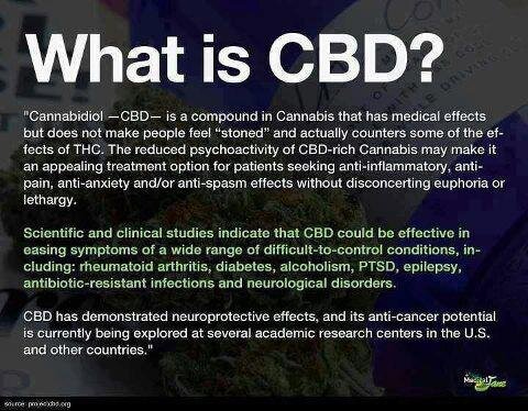 Our unique over-the-counter nutraceuticals include dietary supplements containing naturally occurring Cannabidiol (CBD) from industrial hemp. Legal all states.