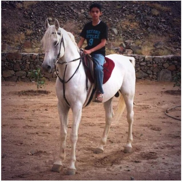 هي الخيل حتى في المنام عشقتها