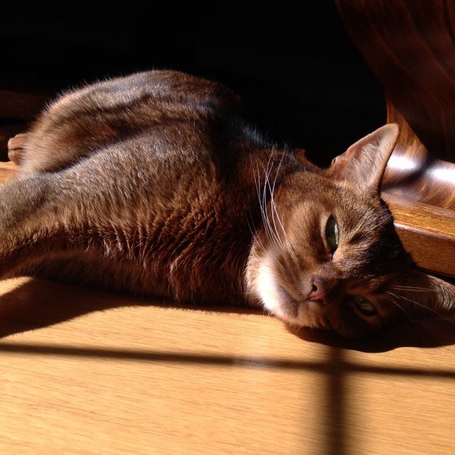 SoaresChristine's profile picture. 