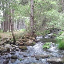 edwinmateus's profile picture. :)