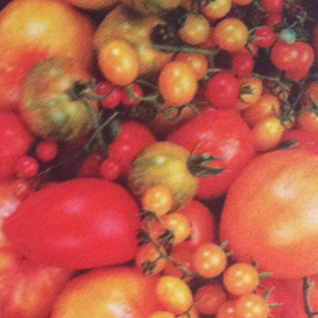 WildTomato7945's profile picture. 