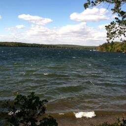 Dragonograd's profile picture. Find your wave and stay with it