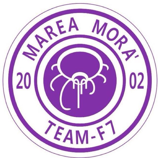 Marea_Mora_TF7's profile picture. Míralos, aquí están, somos la marea morá,,, uh ah waxuwa