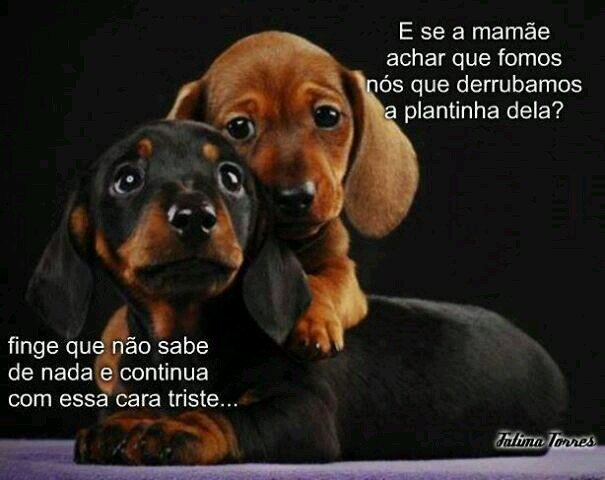 Minhas escolhas ....meus problemas ....nao se mete