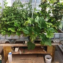We Will Grow On You!