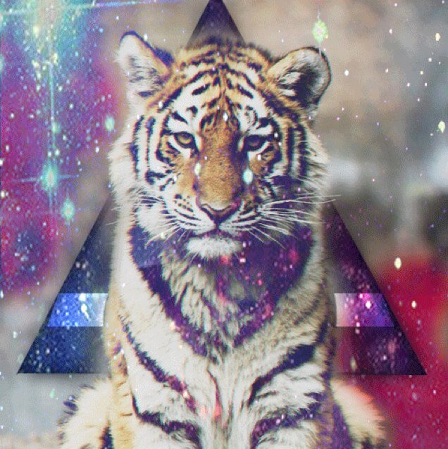 Selfexpression4's profile picture. 