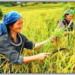 Travel, Culture and Cusine that the think I want to know from other regions and other countries....
