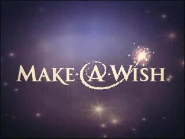 The Make A Wish Foundation Group for 2013-2014