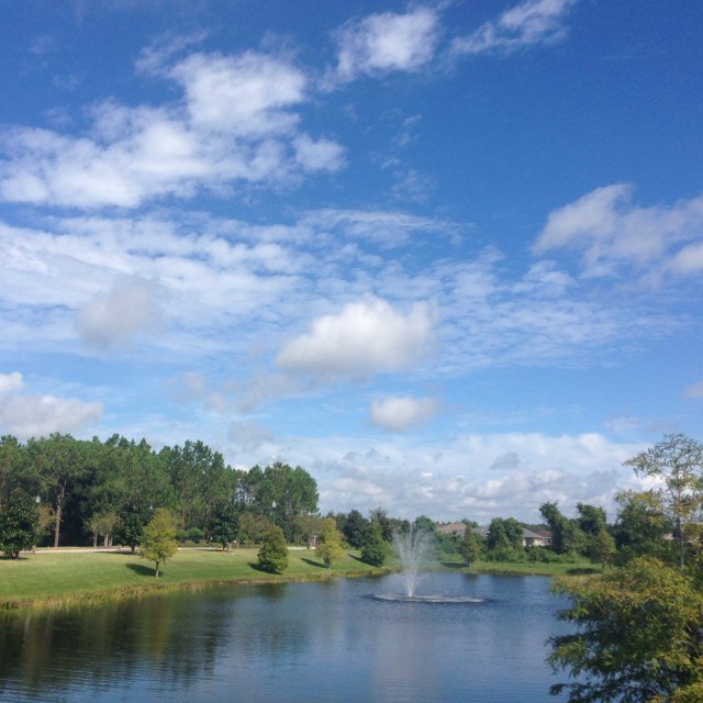 gatafuriosa813's profile picture. 