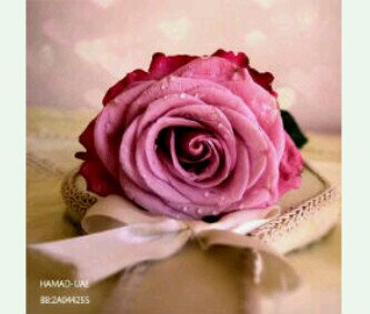 uu2231's profile picture. 