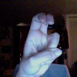 OriginalHammy's profile picture. I am hammy.