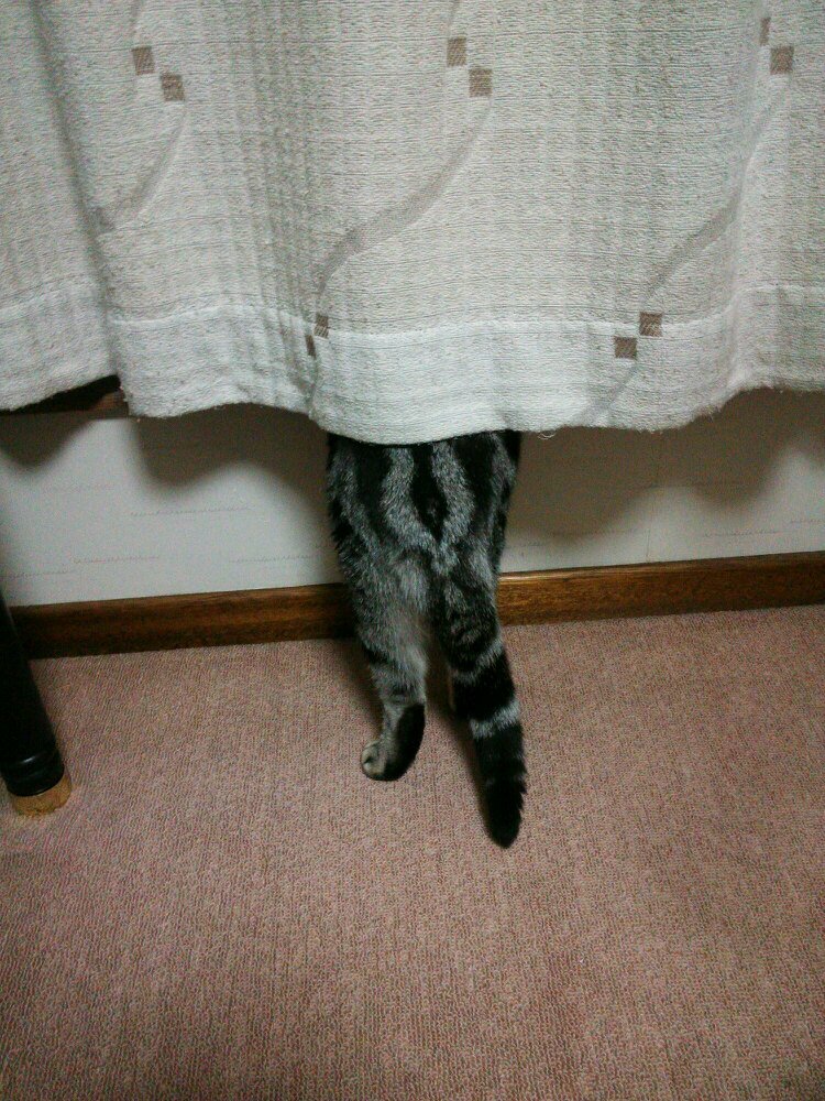 Twitterの筋肉画像見てモチベーション上げて筋トレしてますが食が細く理想の身体に近づけませんが細々頑張ってます。
お洒落な部屋や丁寧な生活してる人にも憧れてます
無言フォローすいません
