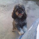 Leyda Torres  - @leydatorres13 - Twitter