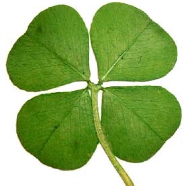 Lucky_Larry69's profile picture. 