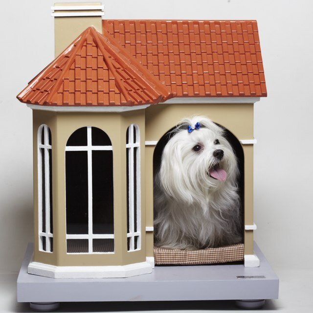 PetHouseOficial's profile picture. A Pet House fabrica lindos lares para seus melhores amigos. Conheça mais em nosso site.